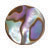 abalone